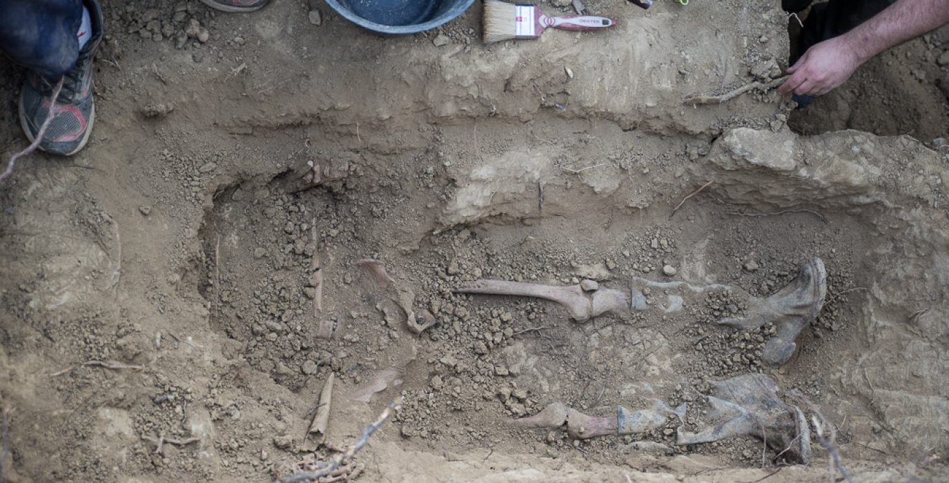Exhumación en Fuencalderas. Foto: Pablo Ibáñez (AraInfo)