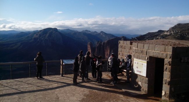 seo mirador buitres murillo