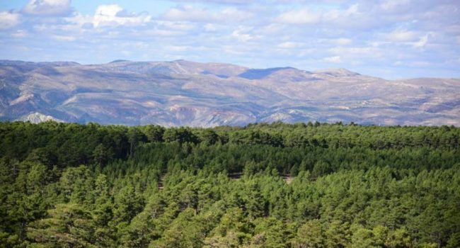 Sierra de Majalinos. | Foto: Paisajes de Teruel