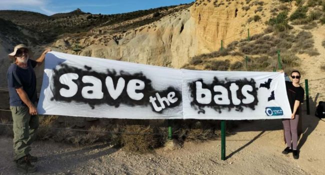 Activistas visibilizan la necesidad de proteger la fauna asociada a la sima. | Foto: Amigos de la Tierra