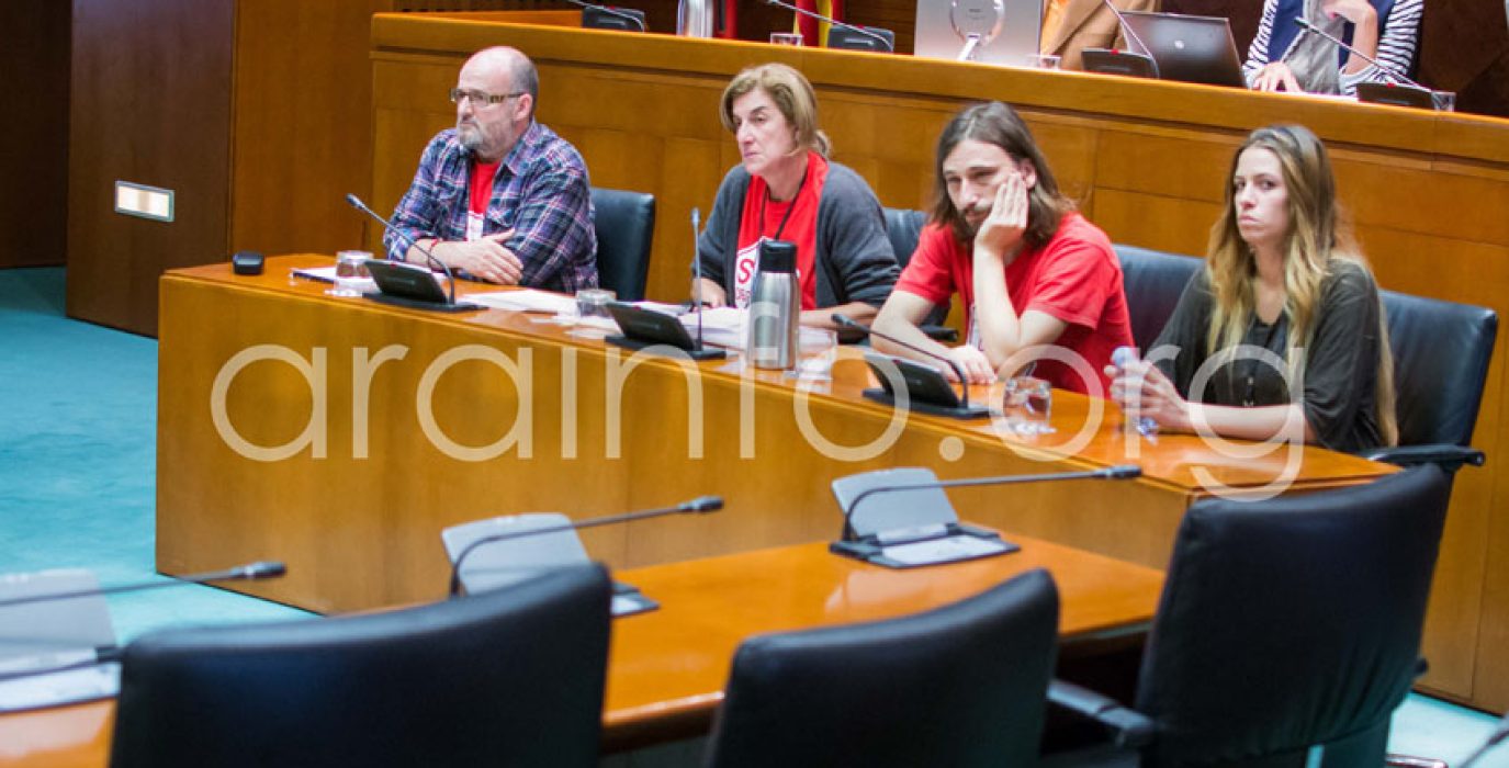 Representantes de la plataforma durante su intervención en las Cortes. Foto: Pablo Ibañez (AraInfo)