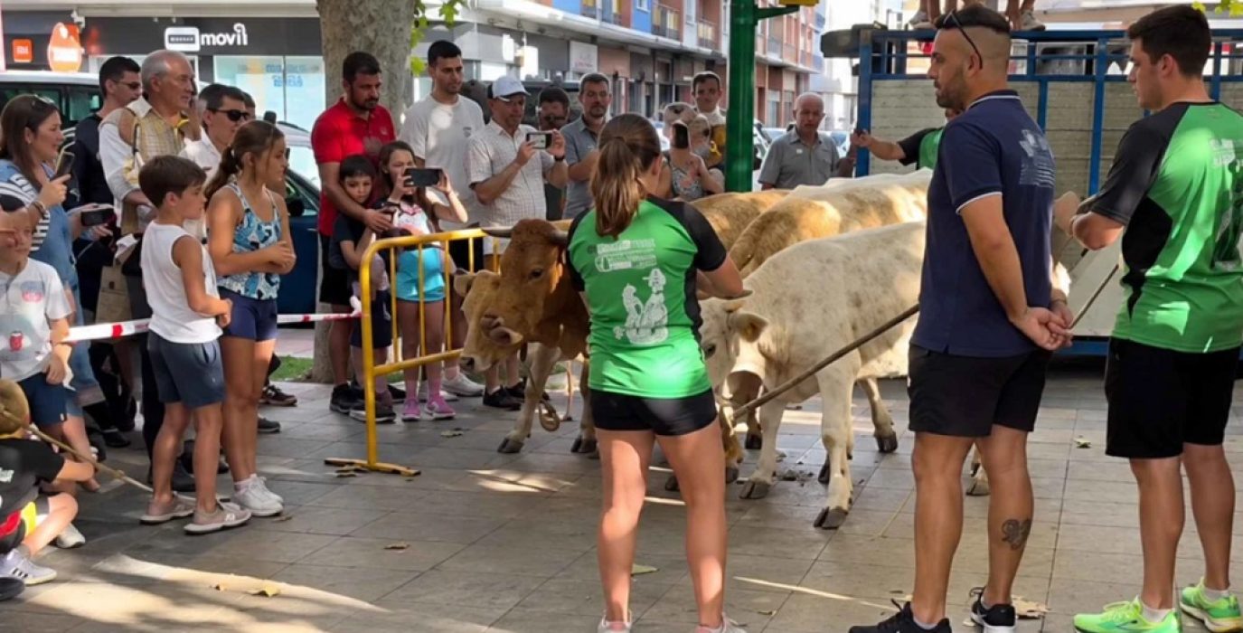 Encierro de mansicos en Calatayud | Foto: Alto Jalón
