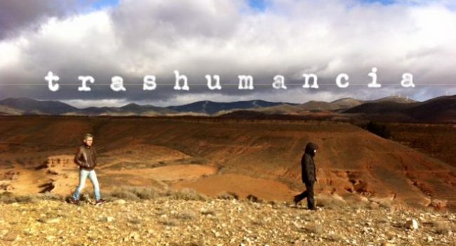 transumancia