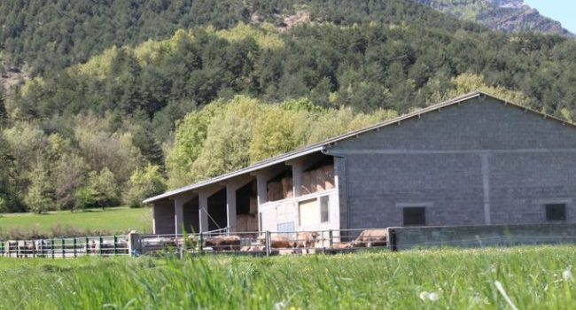 permisos