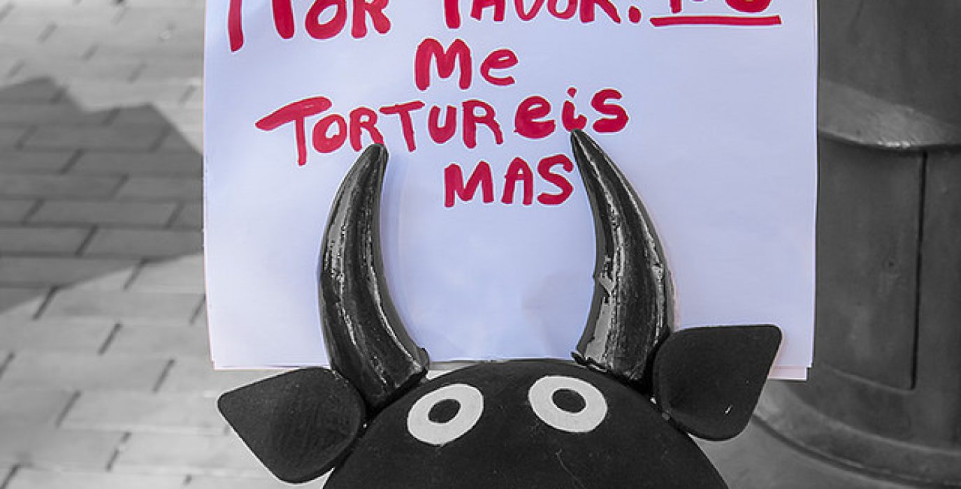 Foto: Diego Díaz (AraInfo)